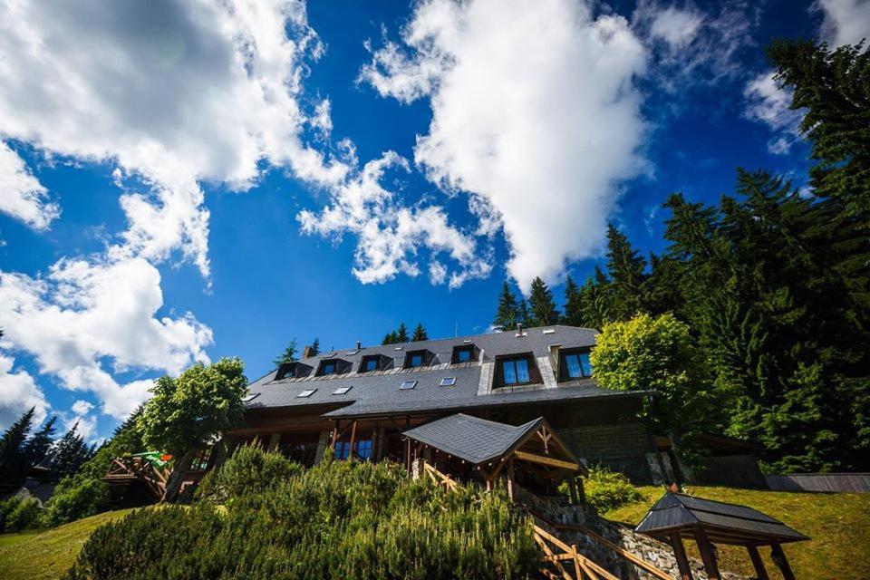 Horsky Hotel Vidly Карлова-Студанка Экстерьер фото