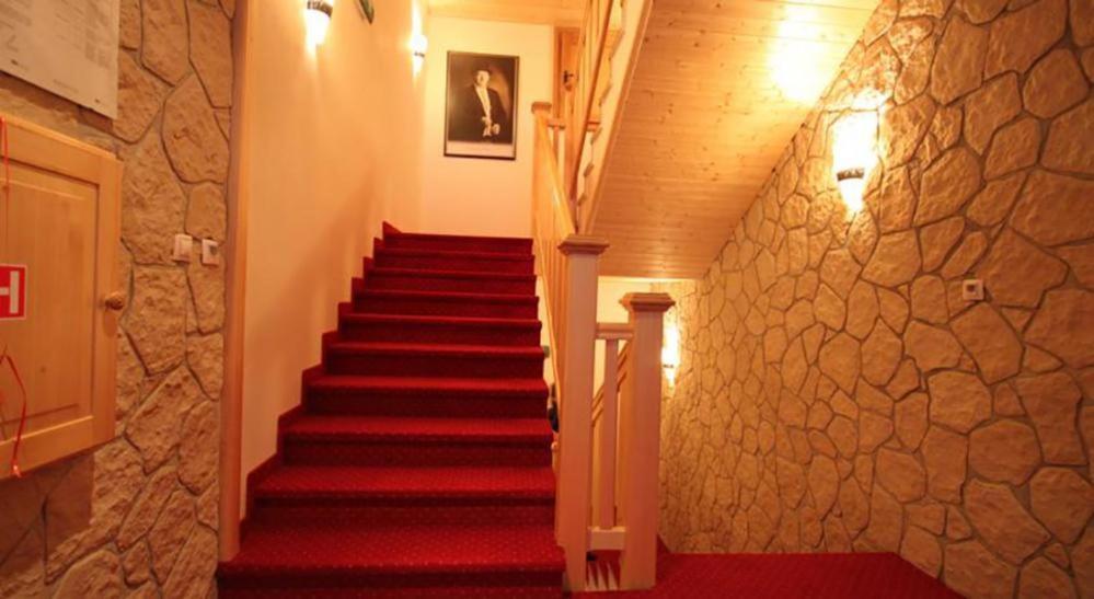Horsky Hotel Vidly Карлова-Студанка Экстерьер фото