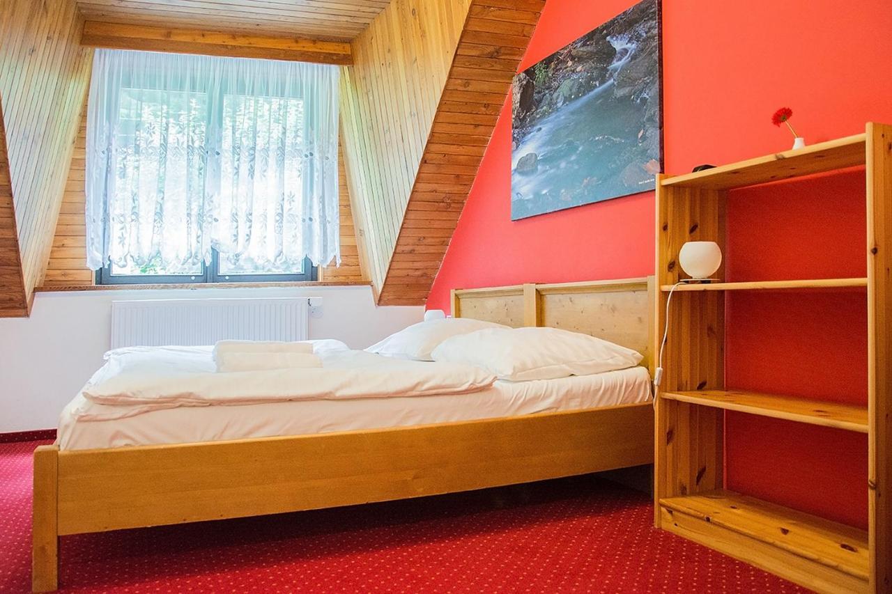 Horsky Hotel Vidly Карлова-Студанка Экстерьер фото
