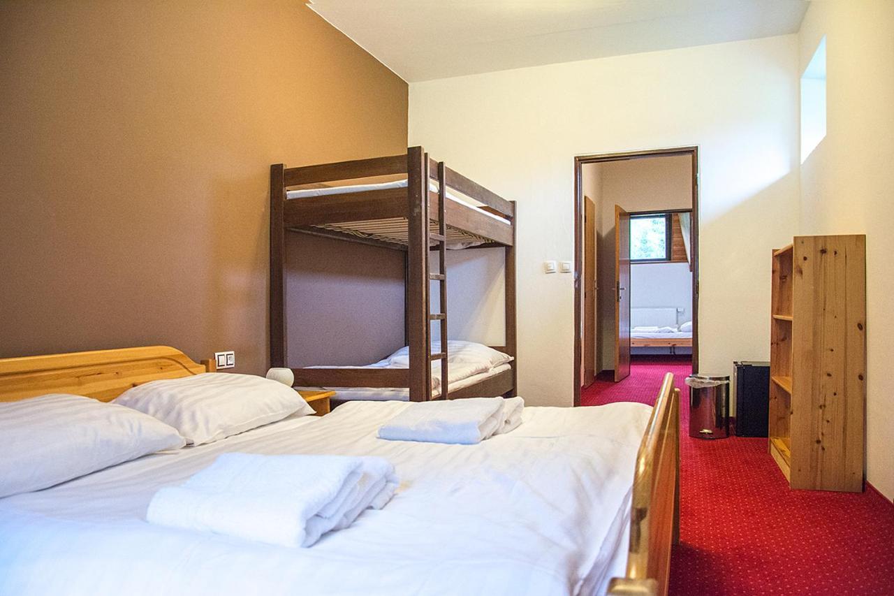 Horsky Hotel Vidly Карлова-Студанка Экстерьер фото
