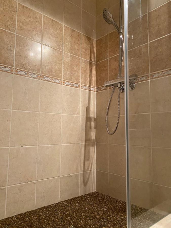 Horsky Hotel Vidly Карлова-Студанка Экстерьер фото
